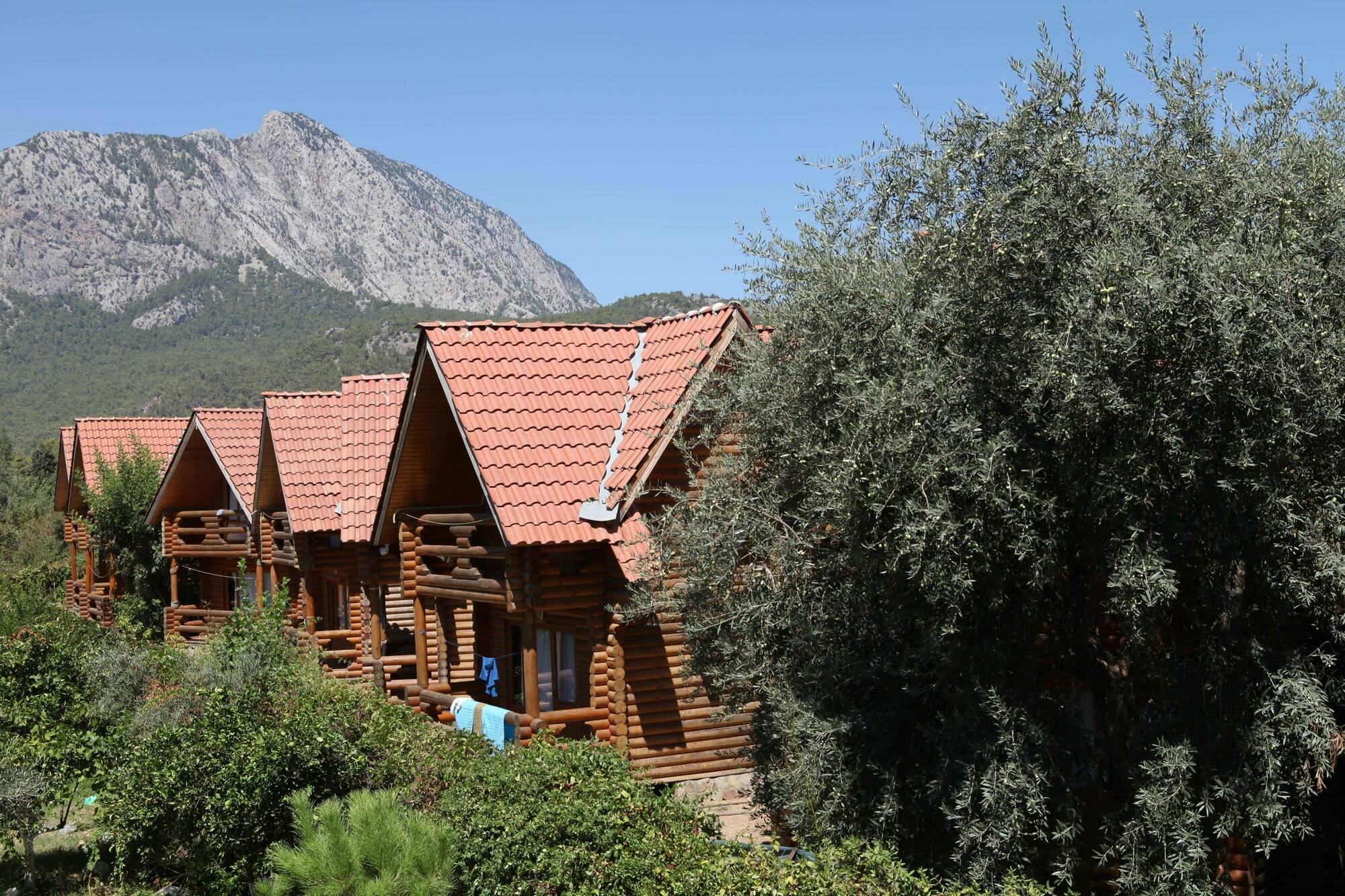 Woodline Hotel Göynük Dış mekan fotoğraf
