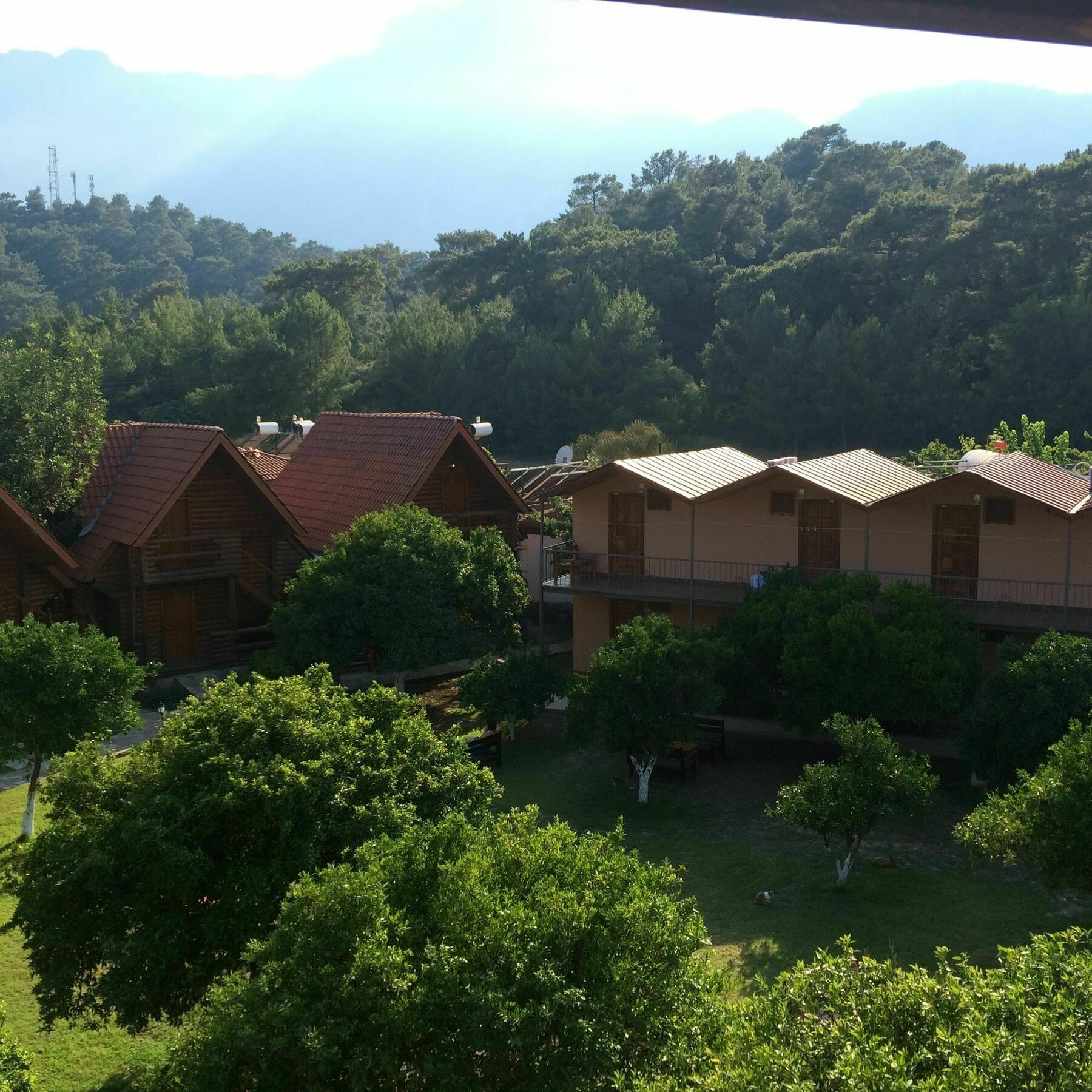 Woodline Hotel Göynük Dış mekan fotoğraf